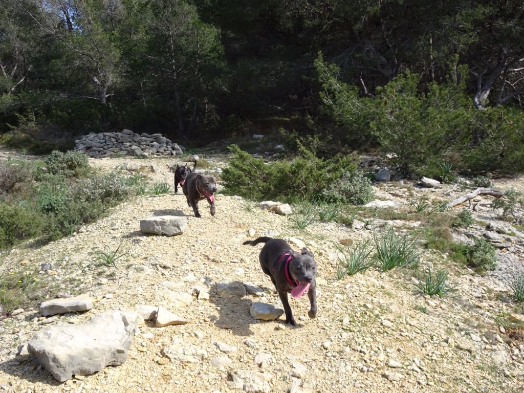 Marcia baíla du Domaine des Anges Bleus