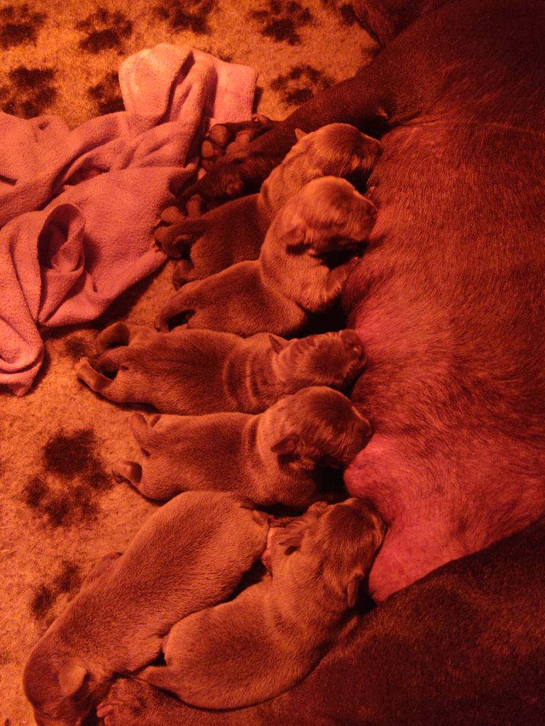 Les bébés sont là!